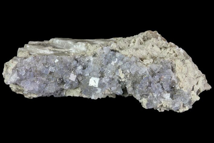 Purple/Gray Fluorite Cluster - Marblehead Quarry Ohio #81194